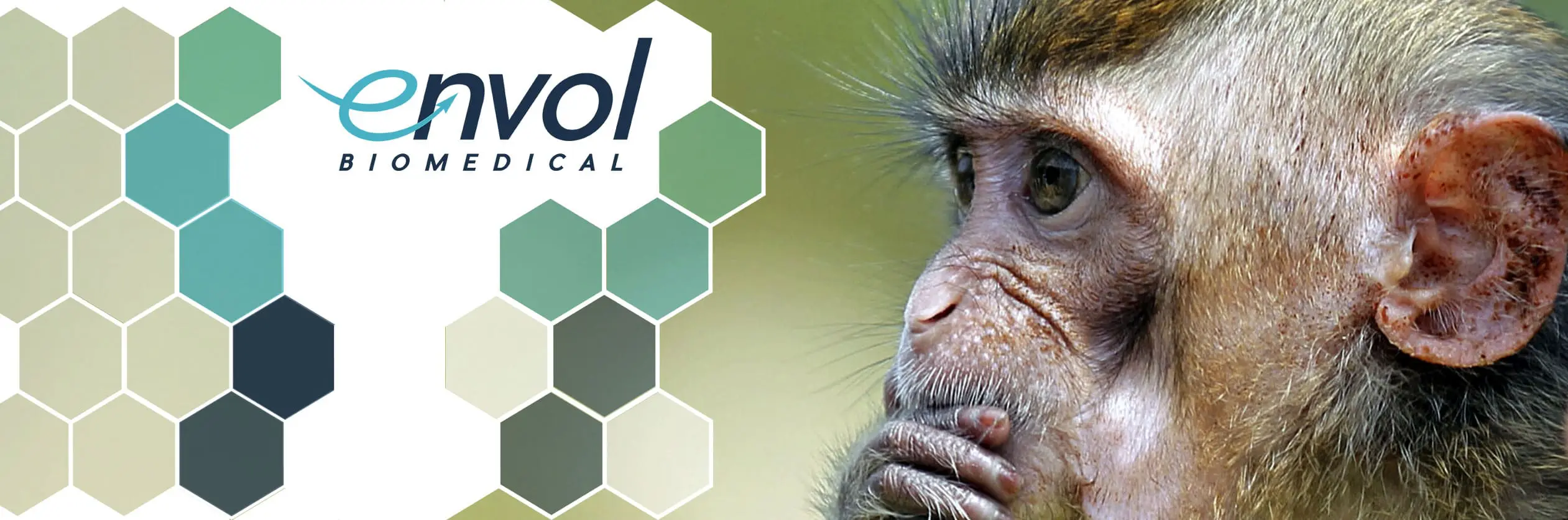 Featured image for “CITES Decision Maintains Cambodian NHP Exports, but Will You be Ready if this Happens Again in the Future?”