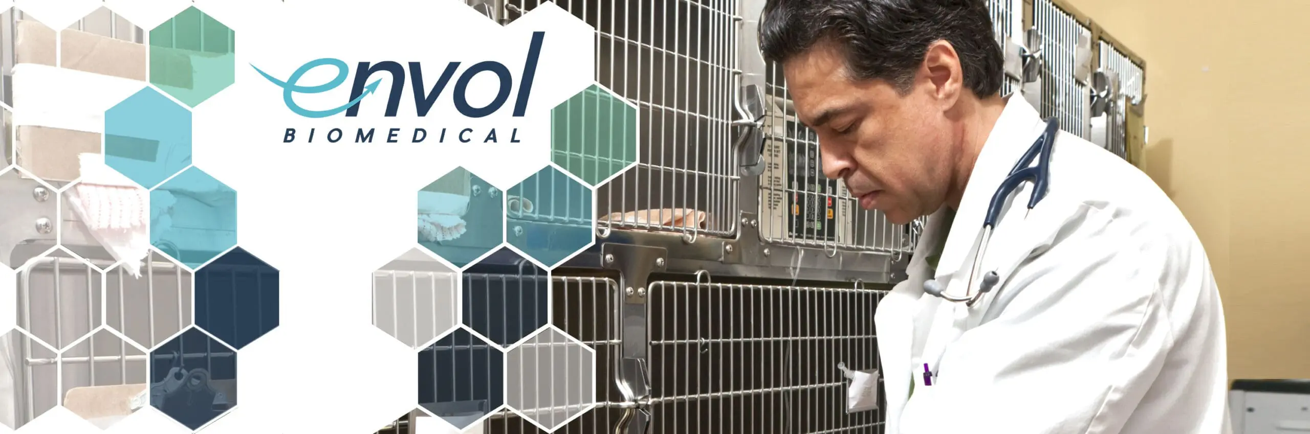 Featured image for “What the FDA’s Statement on Animal Testing Really Means: A Call to Action to Continue Improving Efficiency in Drug Development”