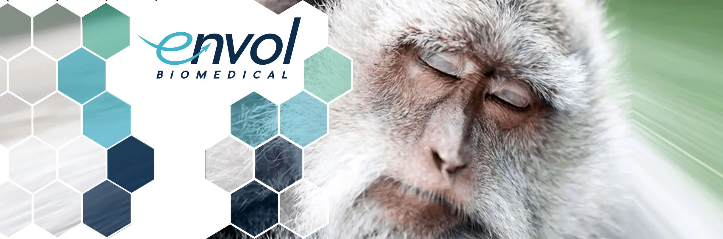 Featured image for “Envol Biomedical Contributes to Landmark Study on Primate Lifespan and Healthspan Metrics in Aging Research”
