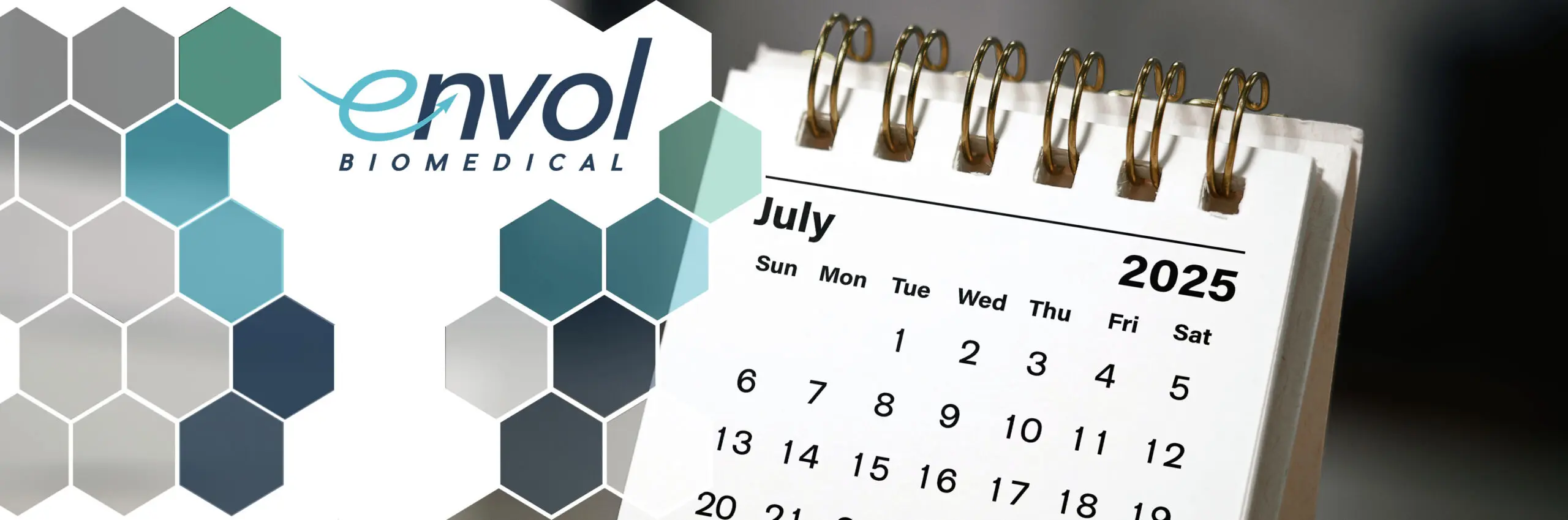 Featured image for “Is Your IND Timeline Still on Track? Mid-Year Reflections and How Envol Biomedical Can Help You End 2025 Strong”