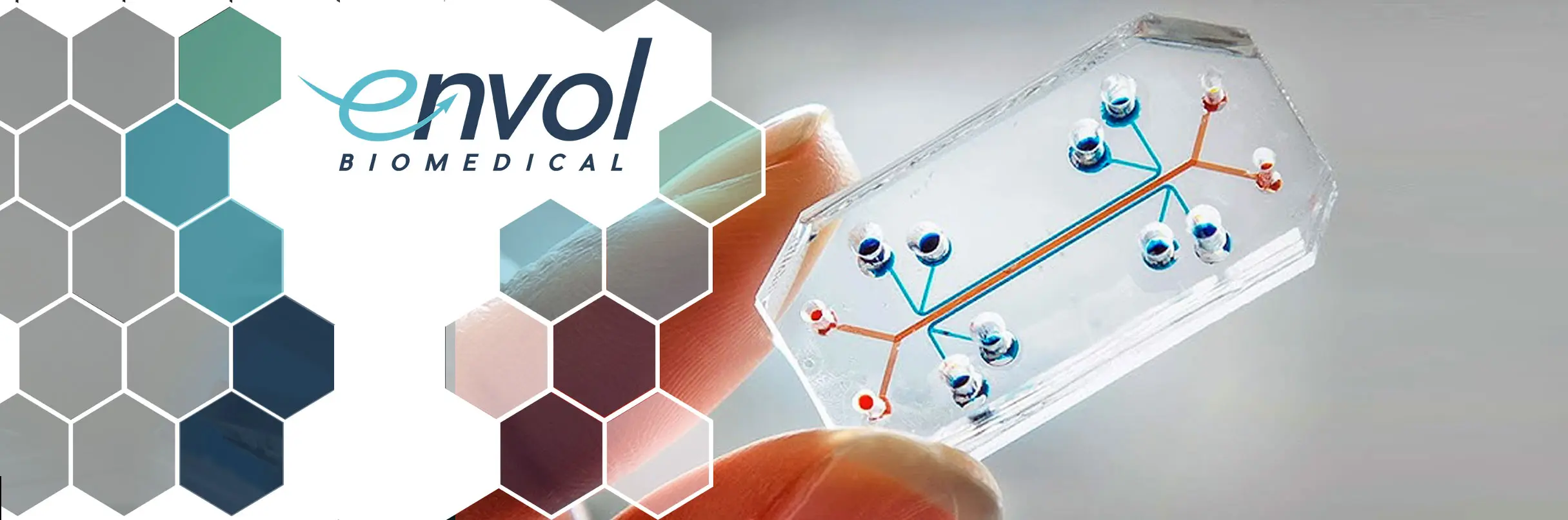 Featured image for “Envol Biomedical’s CEO, Jacob McDonald, Responds to GAO’s Report on Organ-on-a-Chip Technology”