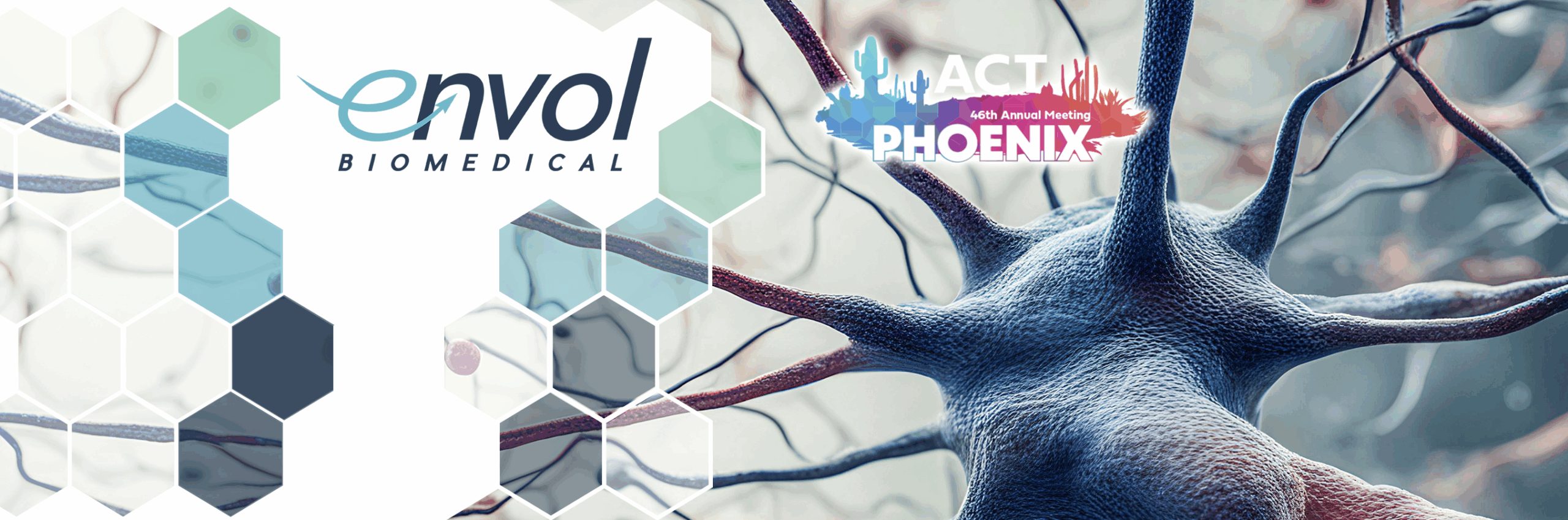Featured image for “Advancing CNS Drug Development: Envol Biomedical to Debut First-in-Kind NHP COFM Capabilities at ACT 2025”